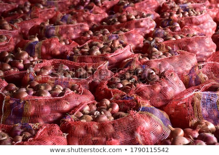 Stock fotó: Onions At The Market