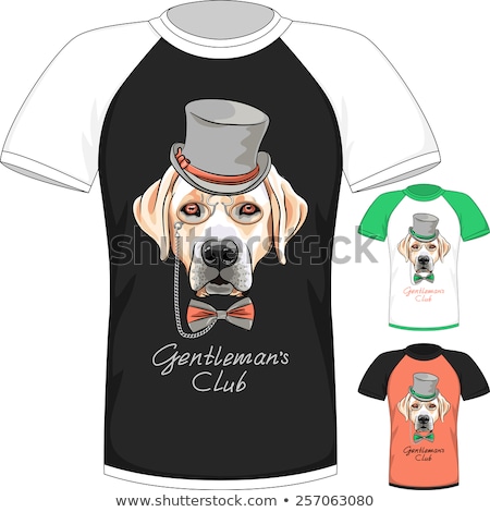 Stock photo: T Shirt With Labrador Retriever Gentleman Dog
