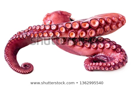 Stockfoto: Octopus For Sale In A Restaurant