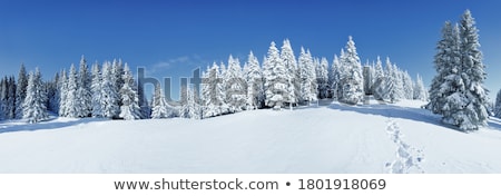 [[stock_photo]]: Winter Scenery