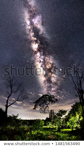Foto stock: Landscape Under The Milky Way