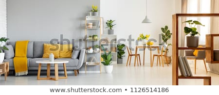 Stock photo: Ladder And Wooden Shelf