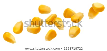 Stock fotó: Set Of Cereals And Grains On White Background