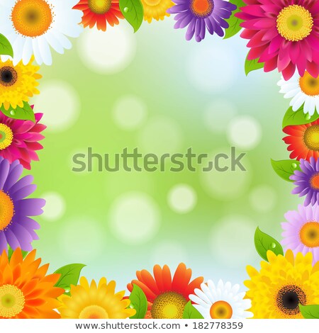[[stock_photo]]: Color Gerbers Flowers Frame With Green Leaf