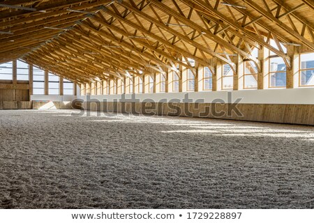 Stock fotó: Horse Is Trained In The Riding Hall