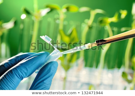 Foto stock: Genetic Modification Science And Technology In Agriculturre Ph