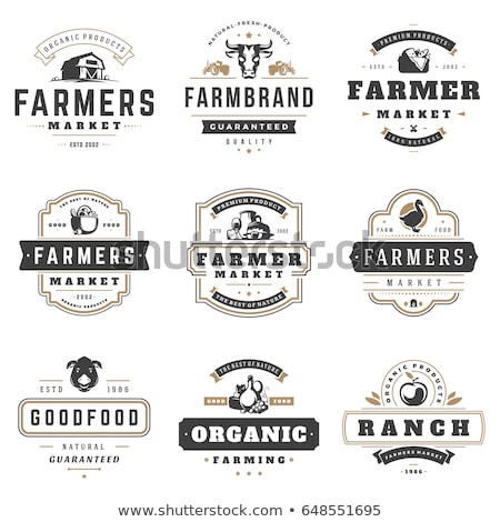 Stock fotó: Milk Emblem Labels Logo And Design Elements Fresh And Natural Milk Milk Farm Cow Milk Vector L