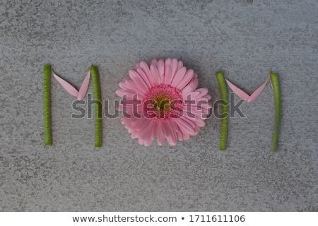 Сток-фото: The Word Love Made From Gerbera Flowers On A Background In A Color Of The Year 2019 Living Coral Pan