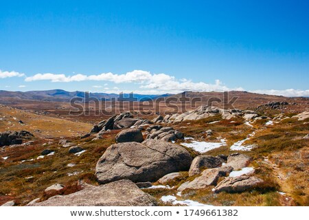 Stockfoto: Mountain Stream In Snowy Mountains Australia