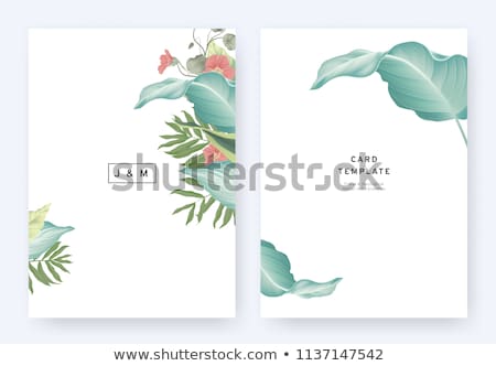 Stock photo: Areca Palm Tropical Exotic Leaf Banner Vector