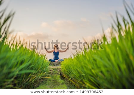 Zdjęcia stock: Young Woman Practice Yoga Outdoor In Rice Fields In The Morning During Wellness Retreat In Bali