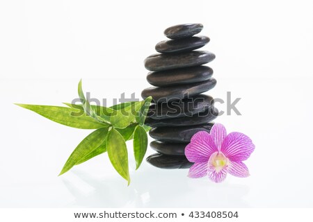 Stok fotoğraf: Stones And Orchid In Balance