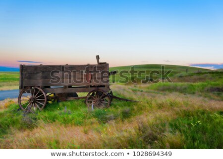 Stock fotó: Old Wagon At Columbia Hills State Park