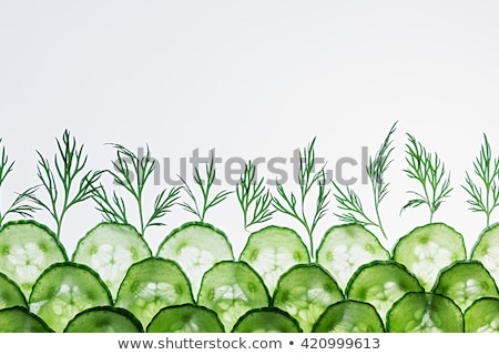 Stock foto: Cucumber Slices Green Dill Pattern Frame With The Copy Space Food Background