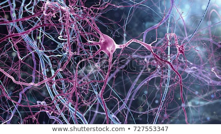 Stok fotoğraf: Human Brain Closeup