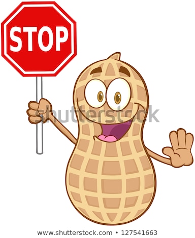 Stockfoto: Funny Peanut Cartoon Mascot Character Holding A Stop Sign