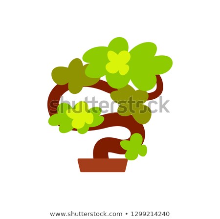 Stock photo: Bonsai Japanese Tree Plant Grown In Pot Icon