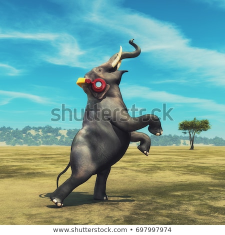 Zdjęcia stock: Elephant Dance