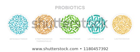 Stock photo: Streptococcus Thermophilus Bacteria Probiotics