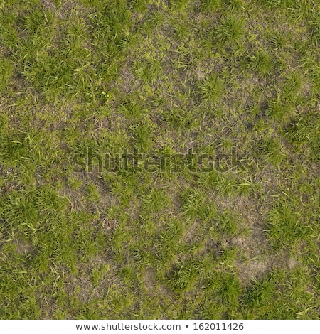 Foto stock: Weed Texture On The Ground