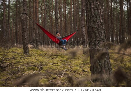 Stockfoto: Peaceful Hammock Hanging Among The Pine Trees