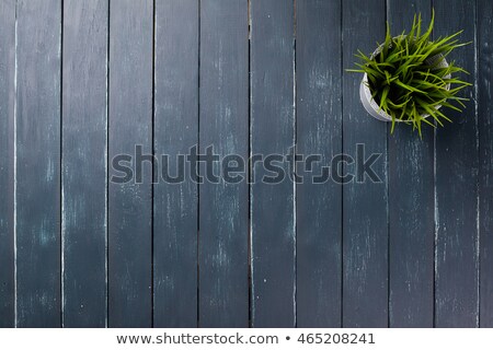 Сток-фото: Flowers In A Pot On A Rustic Wooden Table