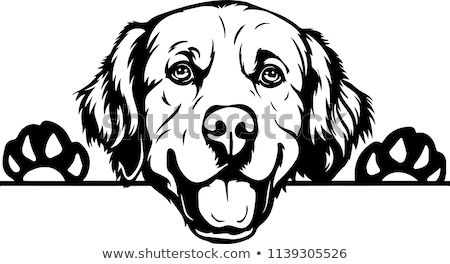 Stockfoto: Cartoon Golden Retriever Sign