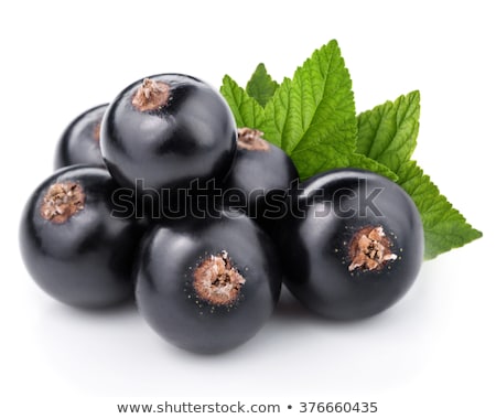 Stock photo: Black Currant