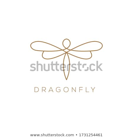 Stock photo: Dragonfly On The Leaf