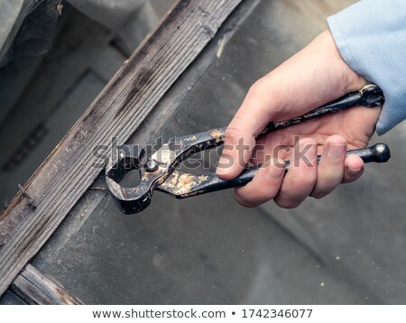 Stock photo: Hand Holding Nail Puller