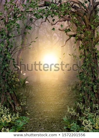 Stockfoto: Hidden Forest Path