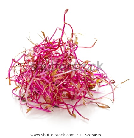 Foto stock: Beetroot Sprouts