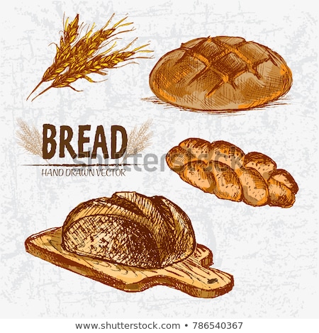 ストックフォト: Digital Vector Detailed Line Art Baked Bread