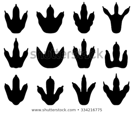 Stock foto: Black Dinosaur Paw With Claws