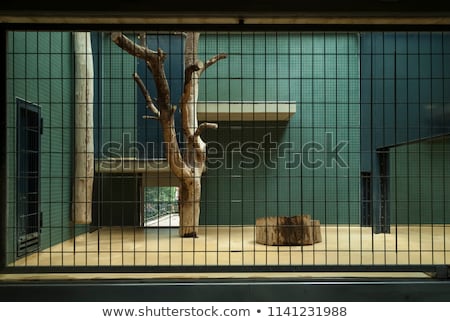 Stock fotó: Empty Cage In The Zoo