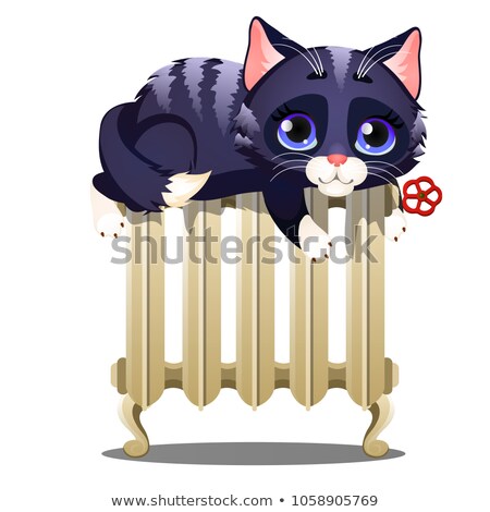 Stock foto: Cute Striped Cat Lying On A Hot Heating Radiator Isolated On White Background Blue Eyed Tabby Cat