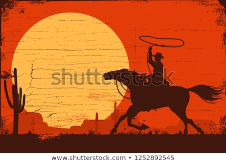 Zdjęcia stock: Rodeo Cowboy At Sunset