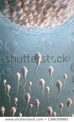 Foto stock: Male Sperm