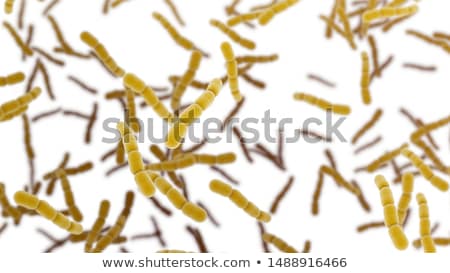 Foto stock: Streptococcus Pneumoniae Bacteria