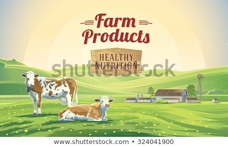 Stok fotoğraf: Milk Farm Poster And Cow Vector Illustration