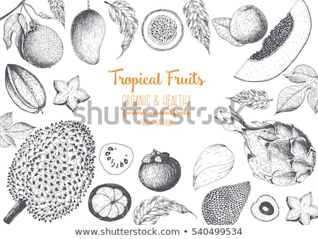 [[stock_photo]]: Durian And Mangosteen Slices Posters Set Vector