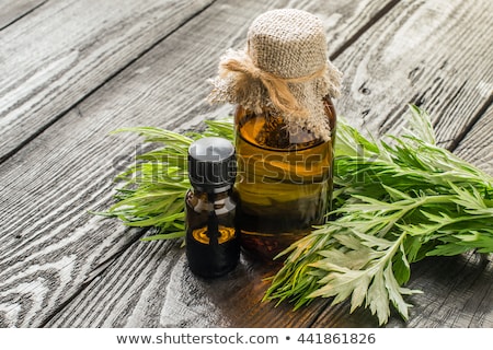 Stock fotó: A Bottle Of Wormwood Essential Oil With Fresh Wormwood Plant