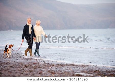 Stock fotó: Happy Couple With Beagle Dog On Autumn Beach