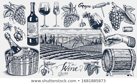 Foto stock: Grape And Vintage Corkscrew