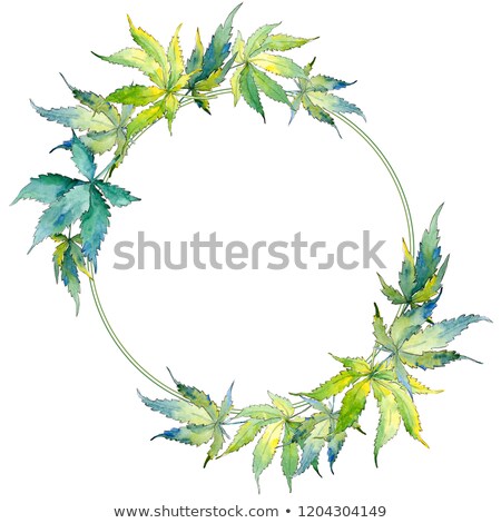Stok fotoğraf: Wreath From Green Cannabis Leaves