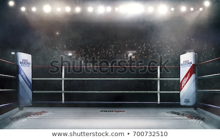 Stock photo: Boxing