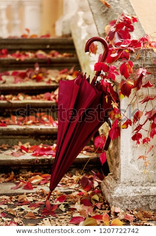 Foto stock: Old Umbrella