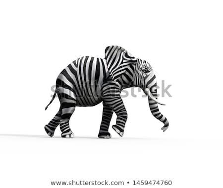 Elephant And Zebra Foto stock © Orla