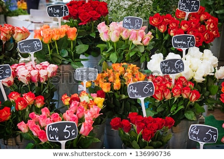 Foto d'archivio: Roses In A Variety Of Colours