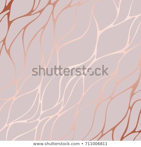 Foto stock: Abstract Beautiful Rose Picture